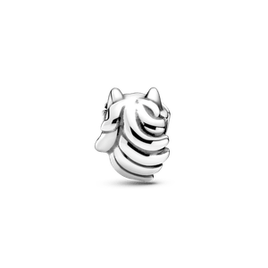 Charm de Caballo