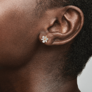 Aretes de Botón Herbario Brillante